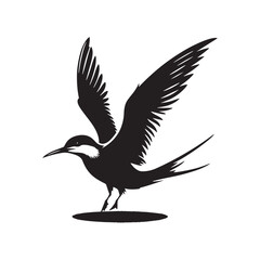 Common tern minimal Silhouette - Common tern Vector - Illustration of Common tern.