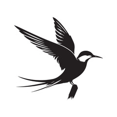Common tern minimal Silhouette - Common tern Vector - Illustration of Common tern.
