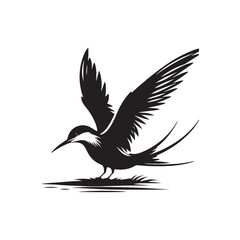Common tern minimal Silhouette - Common tern Vector - Illustration of Common tern.