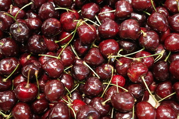 Close-up of a vibrant pile of ripe, dark red cherries with glossy skins and stems. The fresh, juicy fruit captures the essence of summer harvest and is perfect for food, nutrition, or market themes.