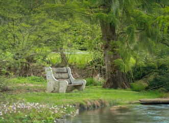 bench in the garden