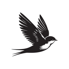Common swift Bird Vector Silhouette - Common swift Design - Black and White Common swift Illustration.