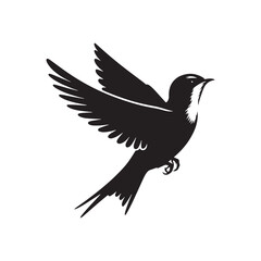 Common swift Bird Vector Silhouette - Common swift Design - Black and White Common swift Illustration.