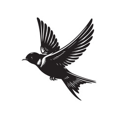 Obraz premium Common swift Bird Vector Silhouette - Common swift Design - Black and White Common swift Illustration.