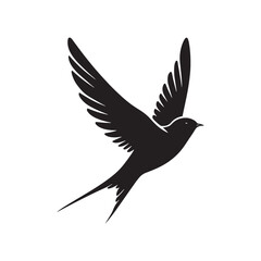 Common swift Bird Vector Silhouette - Common swift Design - Black and White Common swift Illustration.