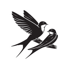 Common swift Bird Vector Silhouette - Common swift Design - Black and White Common swift Illustration.
