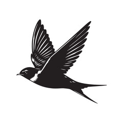 Common swift Bird Vector Silhouette - Common swift Design - Black and White Common swift Illustration.