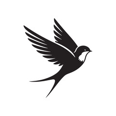Common swift Bird Vector Silhouette - Common swift Design - Black and White Common swift Illustration.