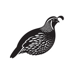 Common Quail Vector - Common Quail Silhouette - Minimalist Common Quail Illustration.