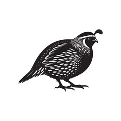 Common Quail Vector - Common Quail Silhouette - Minimalist Common Quail Illustration.