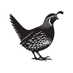 Common Quail Vector - Common Quail Silhouette - Minimalist Common Quail Illustration.