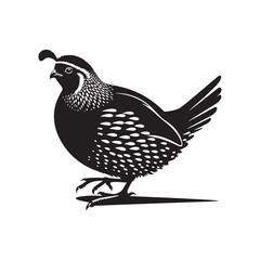 Common Quail Vector - Common Quail Silhouette - Minimalist Common Quail Illustration.