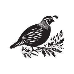 Common Quail Vector - Common Quail Silhouette - Minimalist Common Quail Illustration.