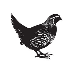 Common Quail Vector - Common Quail Silhouette - Minimalist Common Quail Illustration.