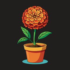 Marigold flower vector.