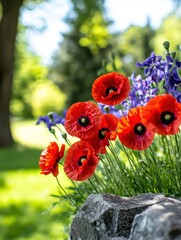 Obraz premium Flags and poppies on graves in veterans cemetery symbolizing remembrance and honor