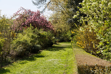 Chemin dans le parc