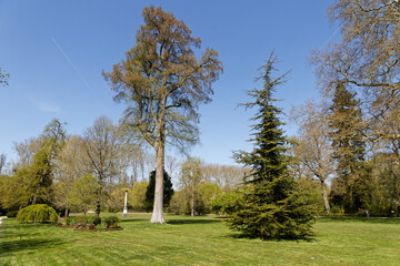 Parc au printemps