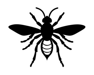 vector illustration of a Wasp