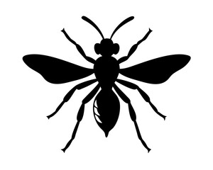vector illustration of a Wasp