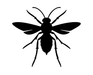 vector illustration of a Wasp