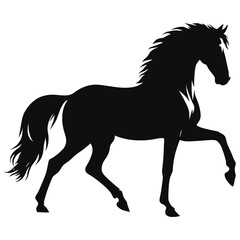 horse silhouette isolated on white
