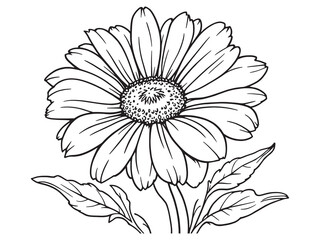 Daisy line art creating beautiful patterns of natural flower shapes