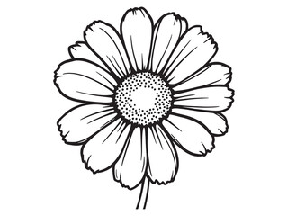 Daisy line art showcasing intricate floral elements in black and white