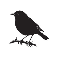 Minimalist Common blackbird Silhouette - Common blackbird Vector - Illustration of Common blackbird - Common blackbird Art.