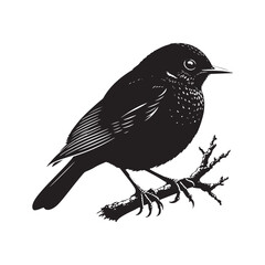 Minimalist Common blackbird Silhouette - Common blackbird Vector - Illustration of Common blackbird - Common blackbird Art.