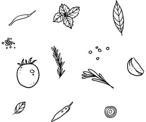 Fototapeta premium Vector illustration of onion isolated on white background for kids coloring book. 
