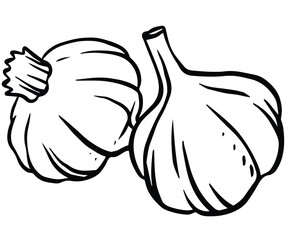 Vector illustration of onion isolated on white background for kids coloring book.
