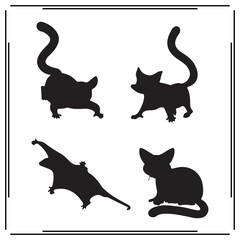 Sugar Glider silhouette, Sugar Glider illustration , Sugar Glider clipart, Sugar Glider vector , black Sugar Glider, Sugar Glider illustration on white background, 
				