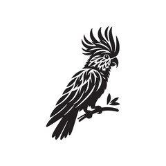 Cockatoo Minimal Vector - Cockatoo Silhouette - Illustration of Cockatoo - Black and White Cockatoo Art.