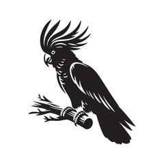 Cockatoo Minimal Vector - Cockatoo Silhouette - Illustration of Cockatoo - Black and White Cockatoo Art.