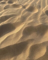 Sandy bottom with waves illuminated by sunlight.