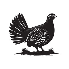 chukar Silhouette - Minimal Chukar bird vector - Chukar Bird Illustration - Chukar Bird art.