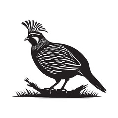 chukar Silhouette - Minimal Chukar bird vector - Chukar Bird Illustration - Chukar Bird art.