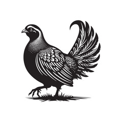 chukar Silhouette - Minimal Chukar bird vector - Chukar Bird Illustration - Chukar Bird art.