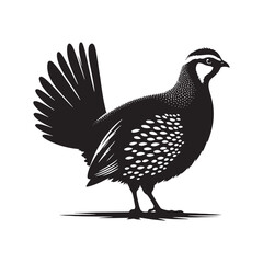 chukar Silhouette - Minimal Chukar bird vector - Chukar Bird Illustration - Chukar Bird art.