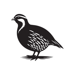 chukar Silhouette - Minimal Chukar bird vector - Chukar Bird Illustration - Chukar Bird art.