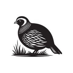 Obraz premium chukar Silhouette - Minimal Chukar bird vector - Chukar Bird Illustration - Chukar Bird art.