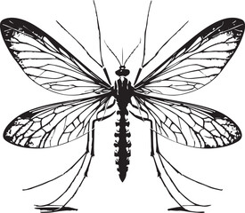 Mosquito silhouette vector EPS 