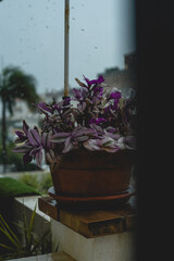 rainy days gray skies and raining