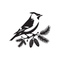 Cedar waxwing minimal Vector - Cedar waxwing Illustration - Silhouette of Cedar waxwing - Black and White Cedar waxwing art.
