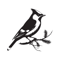 Cedar waxwing minimal Vector - Cedar waxwing Illustration - Silhouette of Cedar waxwing - Black and White Cedar waxwing art.