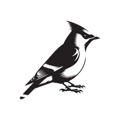 Cedar waxwing minimal Vector - Cedar waxwing Illustration - Silhouette of Cedar waxwing - Black and White Cedar waxwing art.