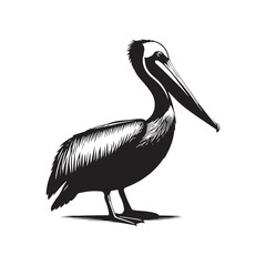 Minimal Brown pelican Vector - Brown pelican Silhouette - Black and White Brown pelican bird art - Brown pelican Illustration.