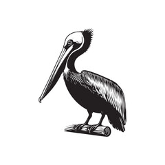 Minimal Brown pelican Vector - Brown pelican Silhouette - Black and White Brown pelican bird art - Brown pelican Illustration.