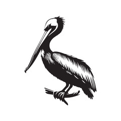 Minimal Brown pelican Vector - Brown pelican Silhouette - Black and White Brown pelican bird art - Brown pelican Illustration.